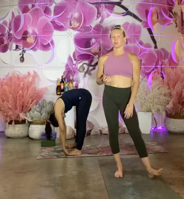 Vine-Yasa Yoga with Nikki McGowan
